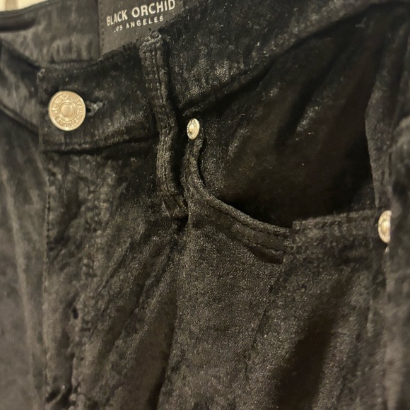 NEW BLACK ORCHID Velvet Giselle High Waist Skinny Pant, Size 26, Never Worn - Picture 6 of 15